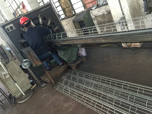 �S�^(q��)�D��