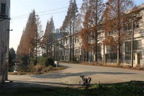 �S�^(q��)�D��