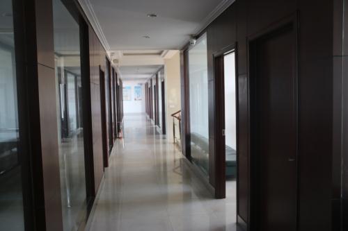 �S�^(q��)�D��